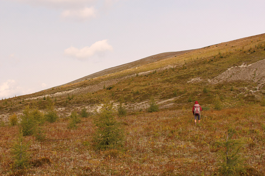 Looks like a great ski slope.