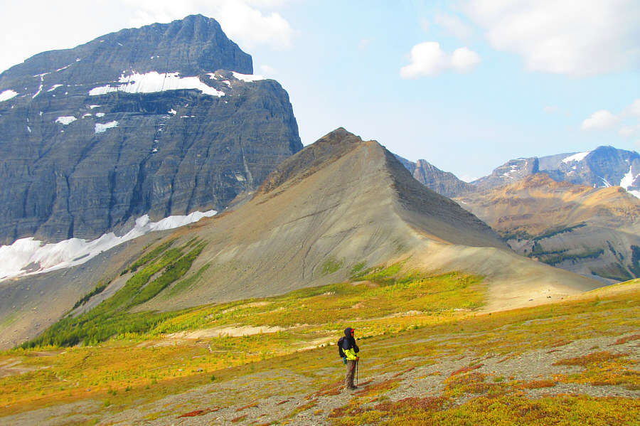The hikers were whooping and hollering like they just climbed Mount Everest!