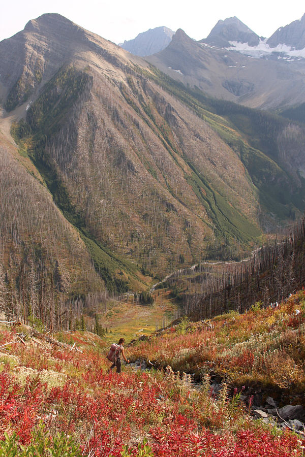 I can't even imagine climbing up Numa Mountain this way!