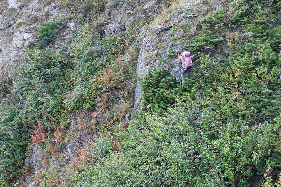 Don't worry. She's a tough cookie and found a way down!