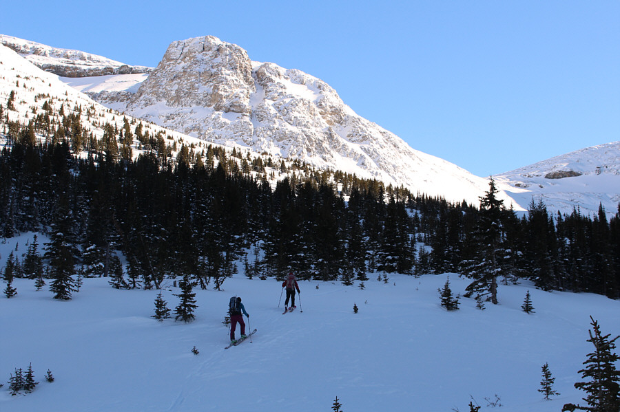 Unfortunately, the best snow is right here in the shady trees.