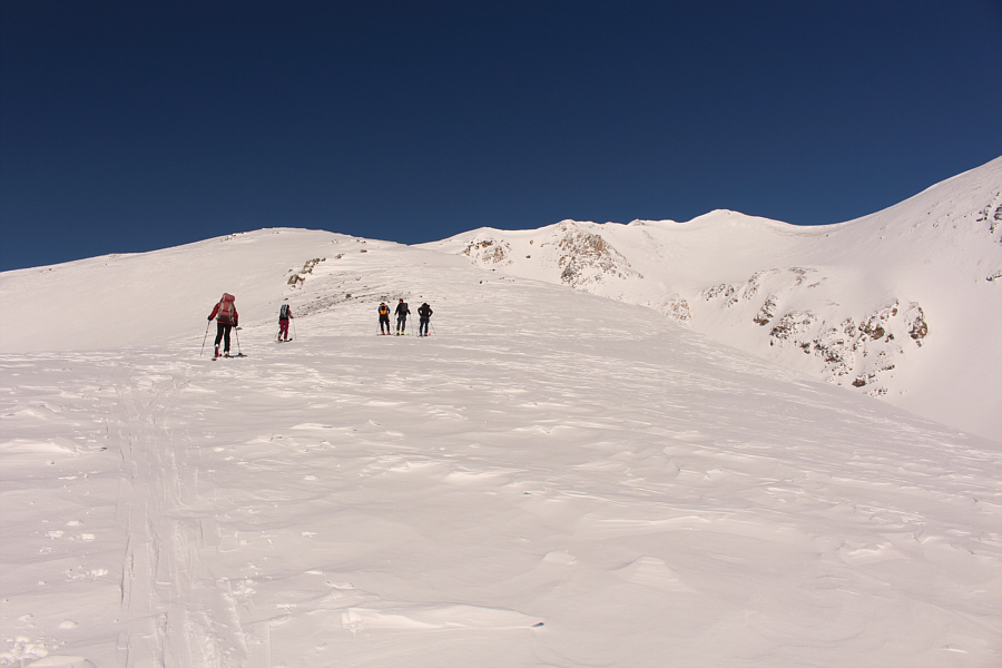 These three guys couldn't seem to make up their minds on what they wanted to do up here!