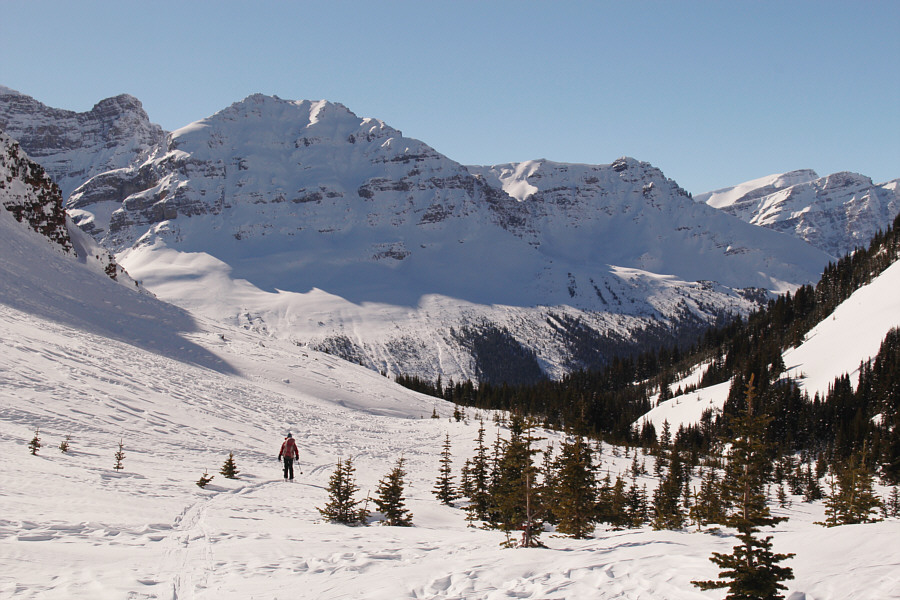 Oddly enough, the best skiing of the day is yet to come in the trees below!