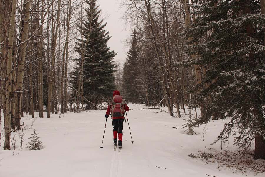 Who needs groomed trails anymore??
