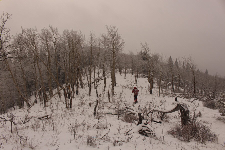 Most of the hard work is done!