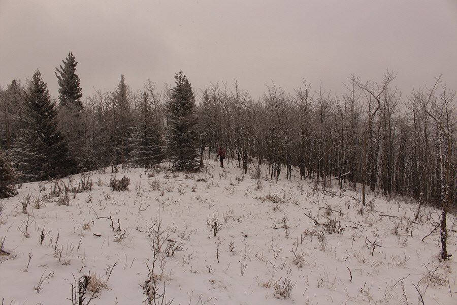 Snowshoes were the right call here on this day!