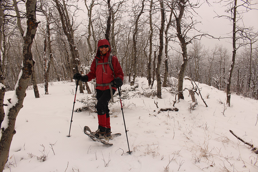 This is the gazetted summit on the map in my GPS unit.