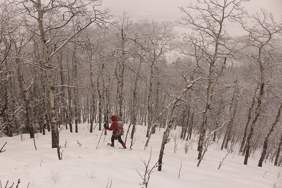 Even with snowshoes, this was a bit tricky to descend because of the underlying icy crust.