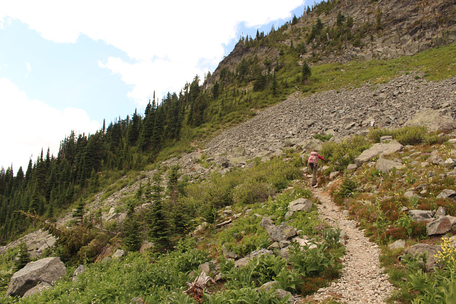 The trail never feels steep here; mountain bikers probably climb this!