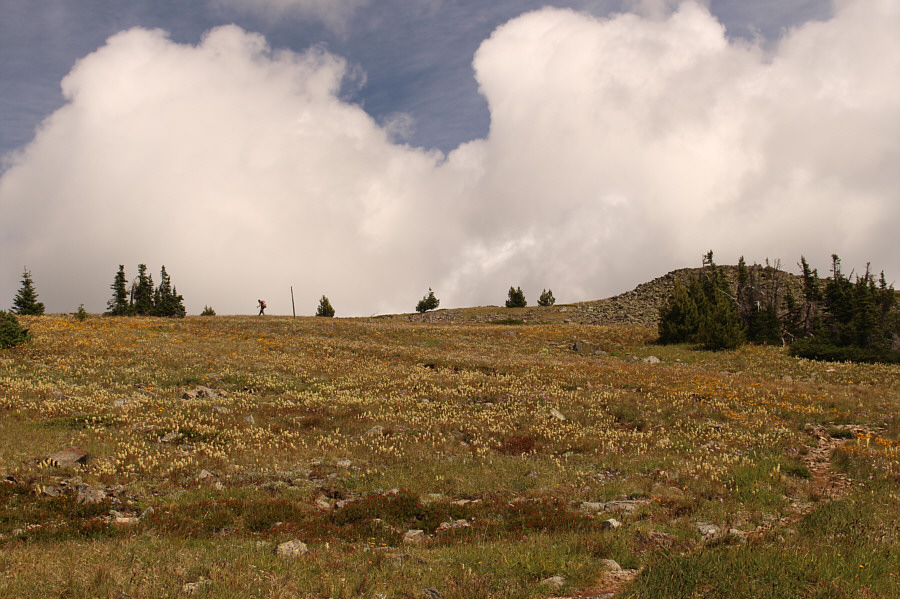 I'd like to come back and ski this!