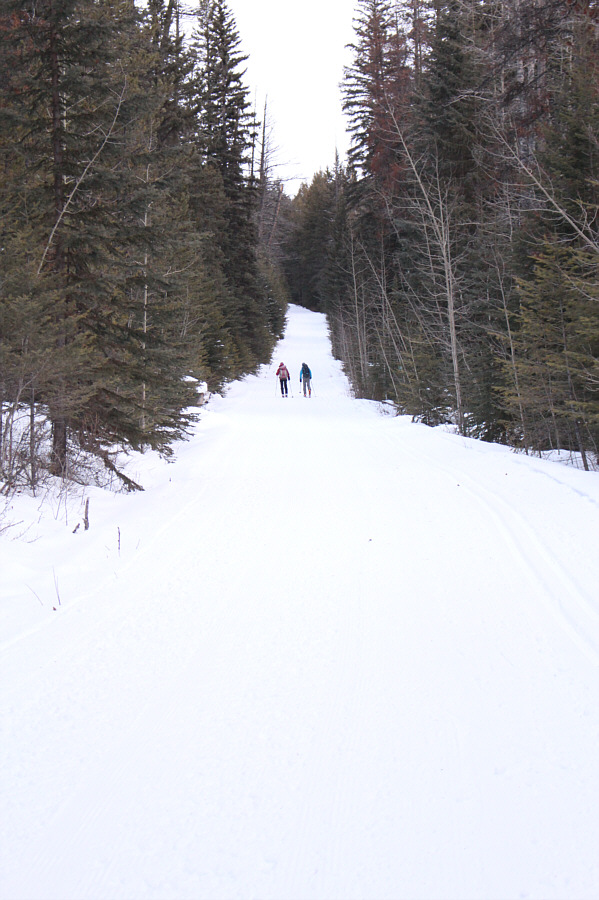 Using AT gear on this road sucks!