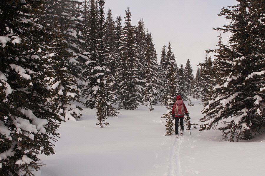 Or just follow my GPS track!