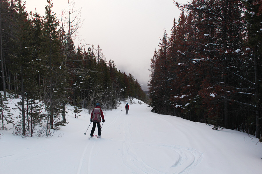 Best skiing of the day right here...but it sucks lower down!