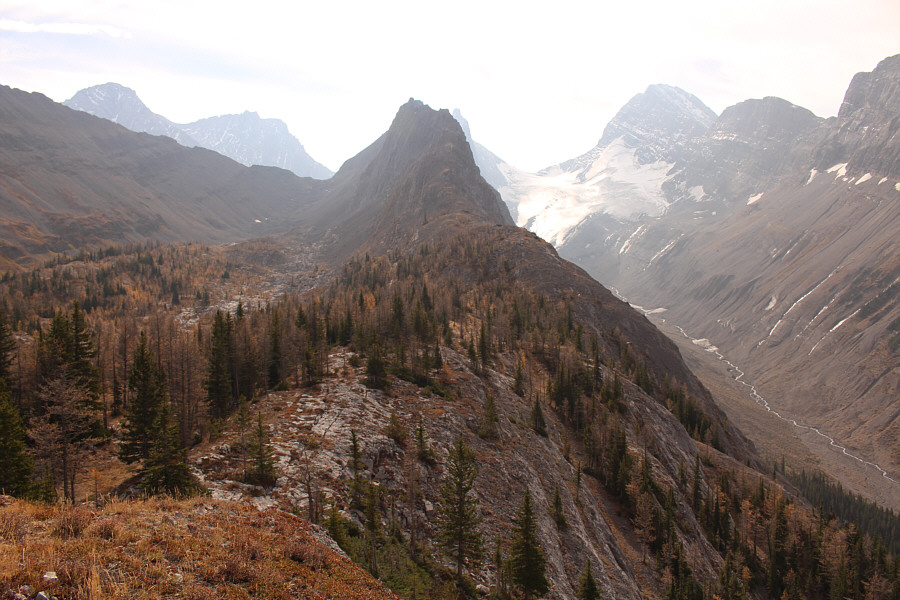 Can you spot the mountain goat from here?