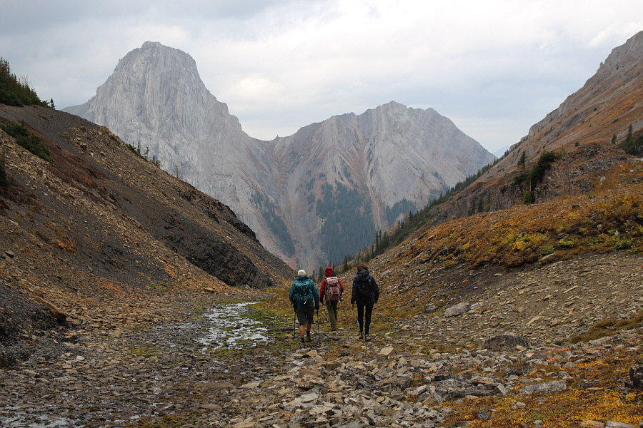 No nonsense here--just stick with the creek!