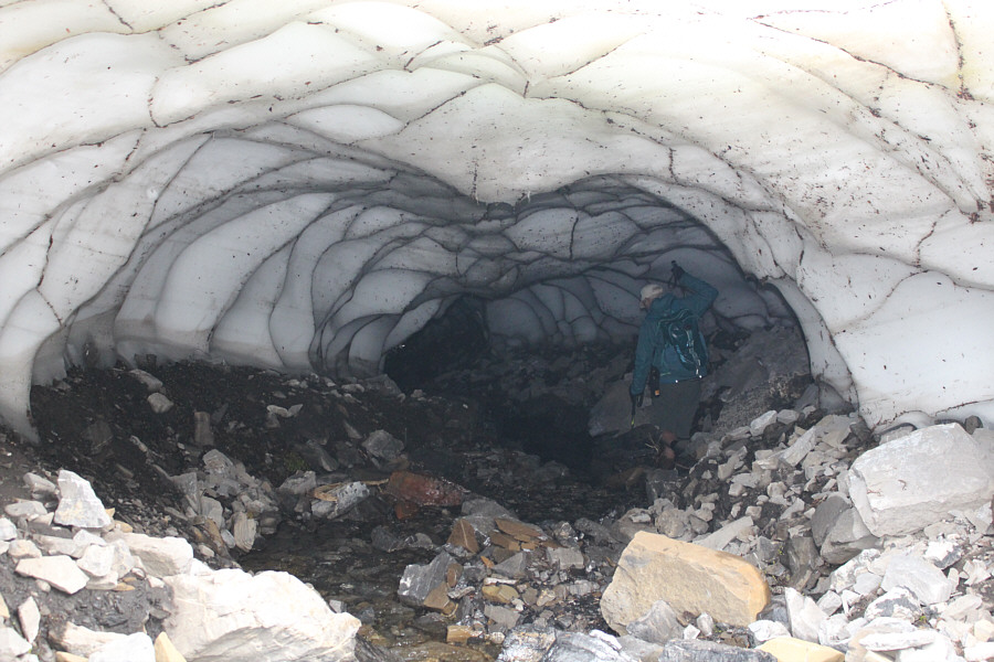 Hmmm...should I be telling Wil to move toward the light?