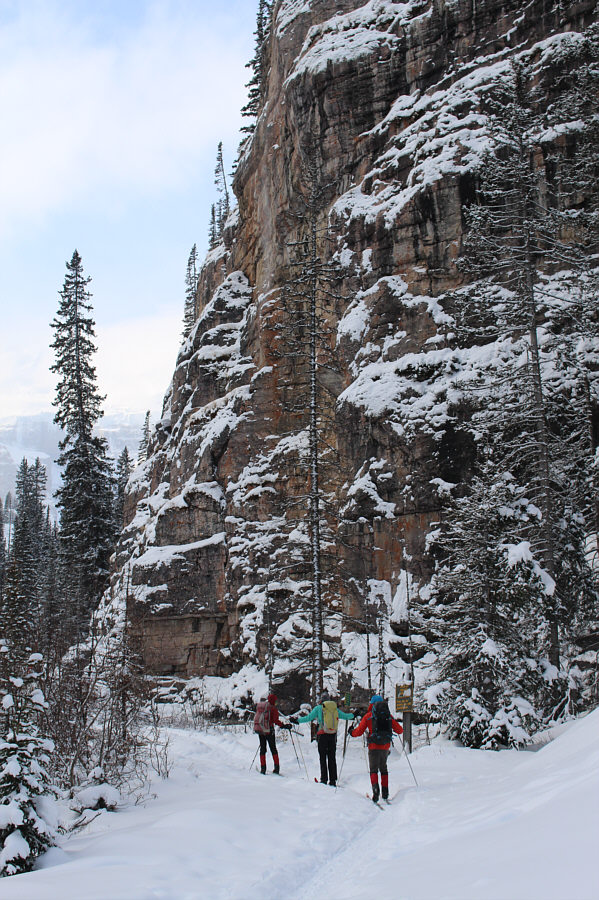 Anybody wanna climb this?