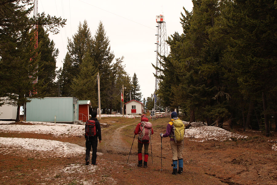 Hello! Anybody home?