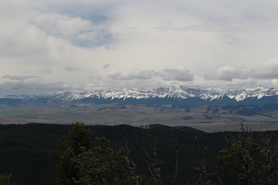 Still waiting for all that snow to disappear...