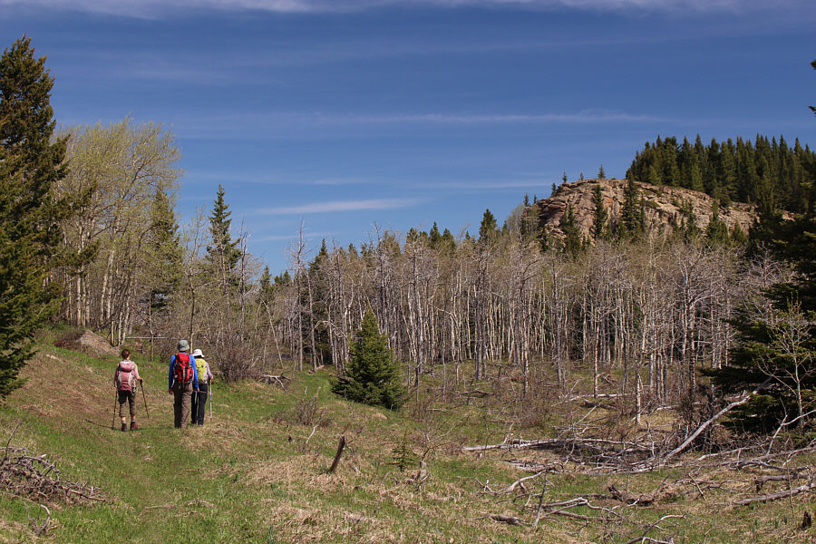 Hmmm...I wonder if we'll need to circumvent this obstacle.