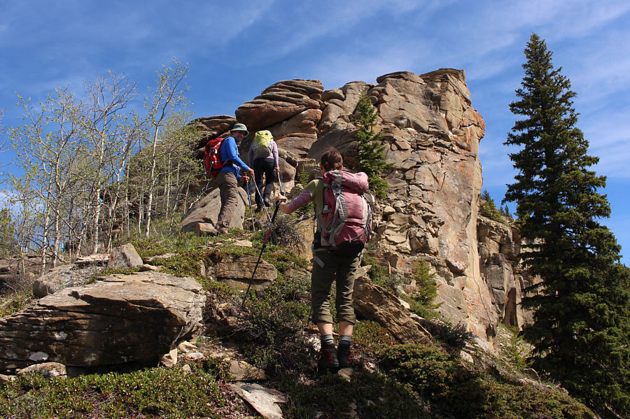 Should we go for it?