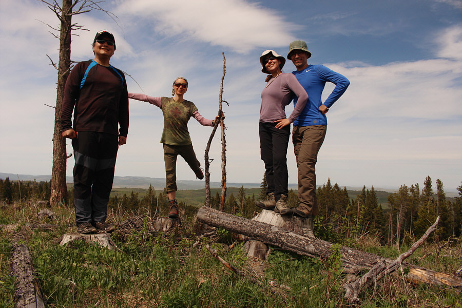 Wasn't really worth it to come here!