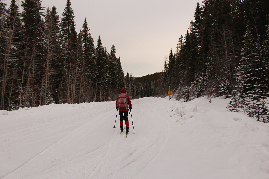 Going downhill already...this is gonna suck on the way back!