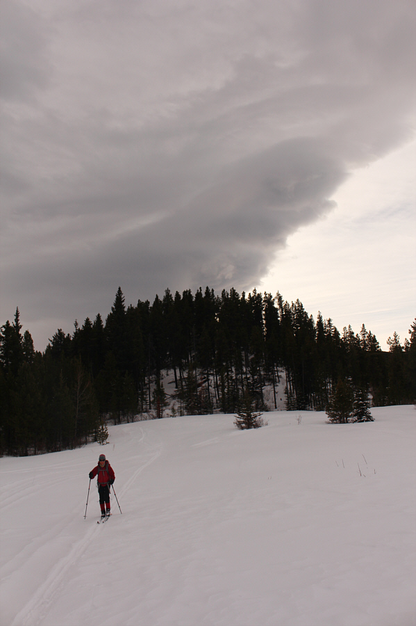 It's a good thing it wasn't a grassy knoll!