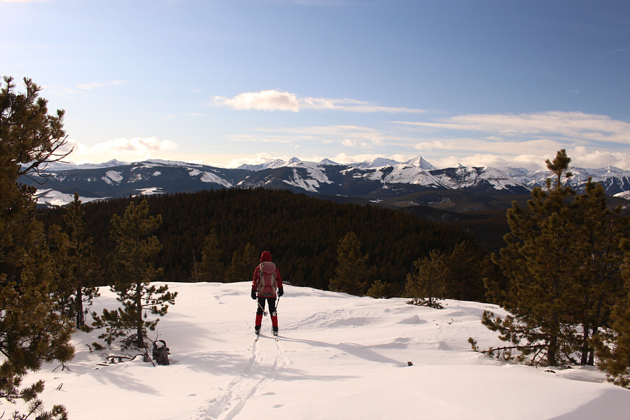 It looked promising at first!