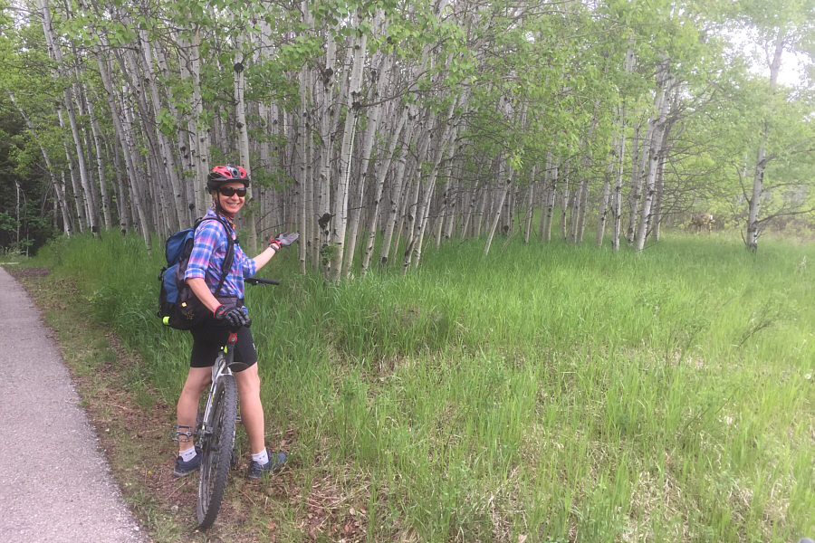 Brave deer with tons of people in the area!