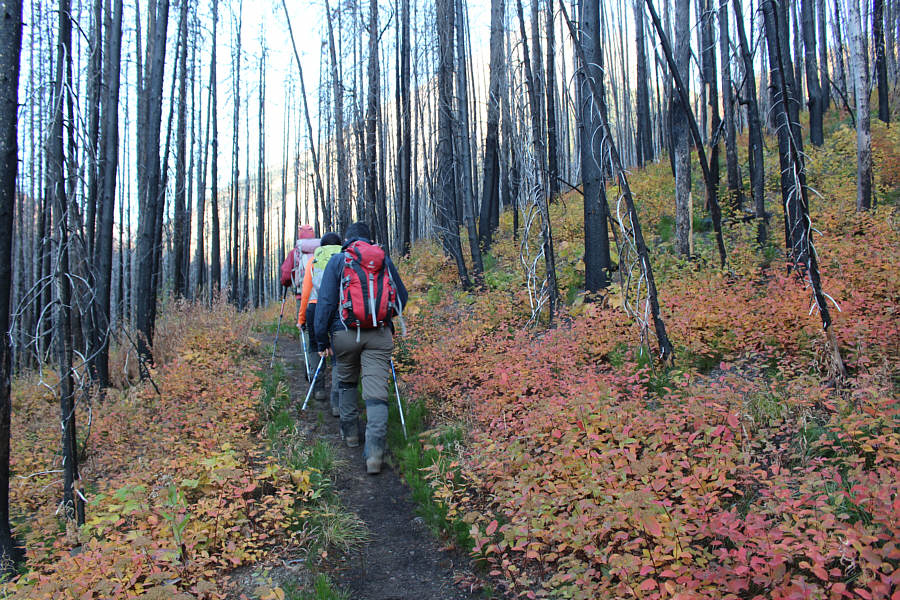 Fall colours are here!