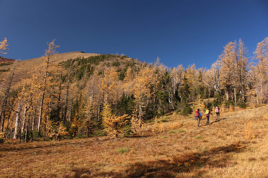 Just follow the noisy crowd!