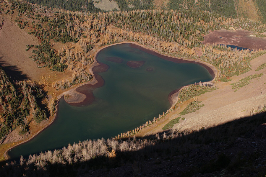 Looks kinda like a shoe or an ocarina!
