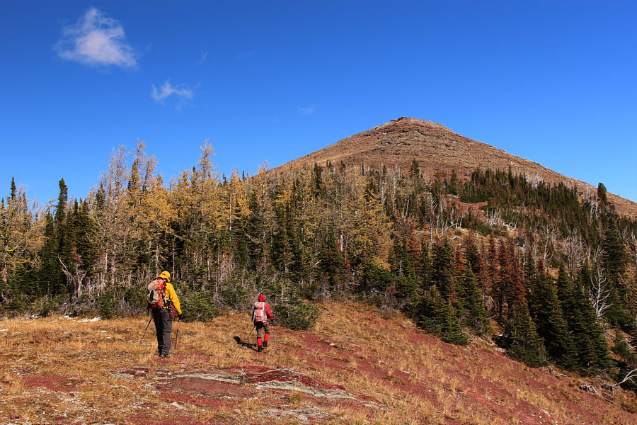 No bushwhacking necessary here!