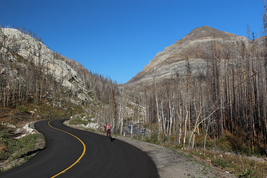 We are rippin' it down the road!