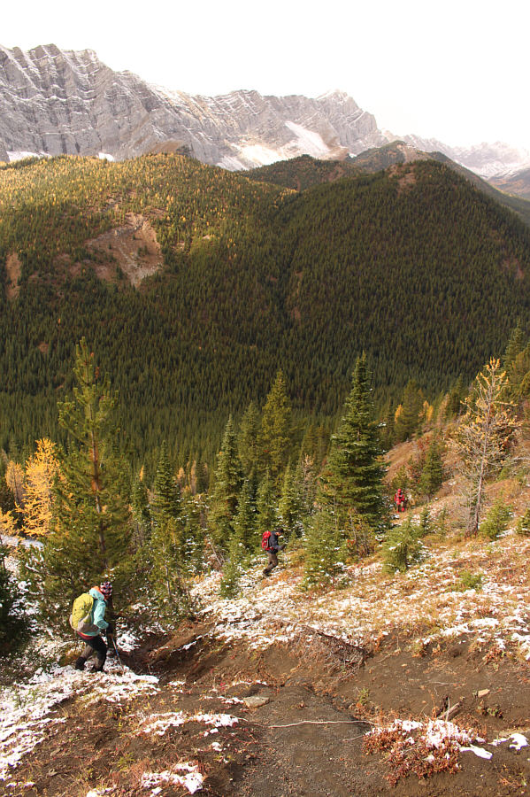 Yep, I would not want to climb up this way!