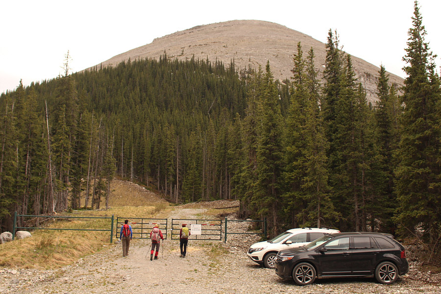 Those trees on the slope hide some unpleasantness in the form of deadfall and lingering snow.