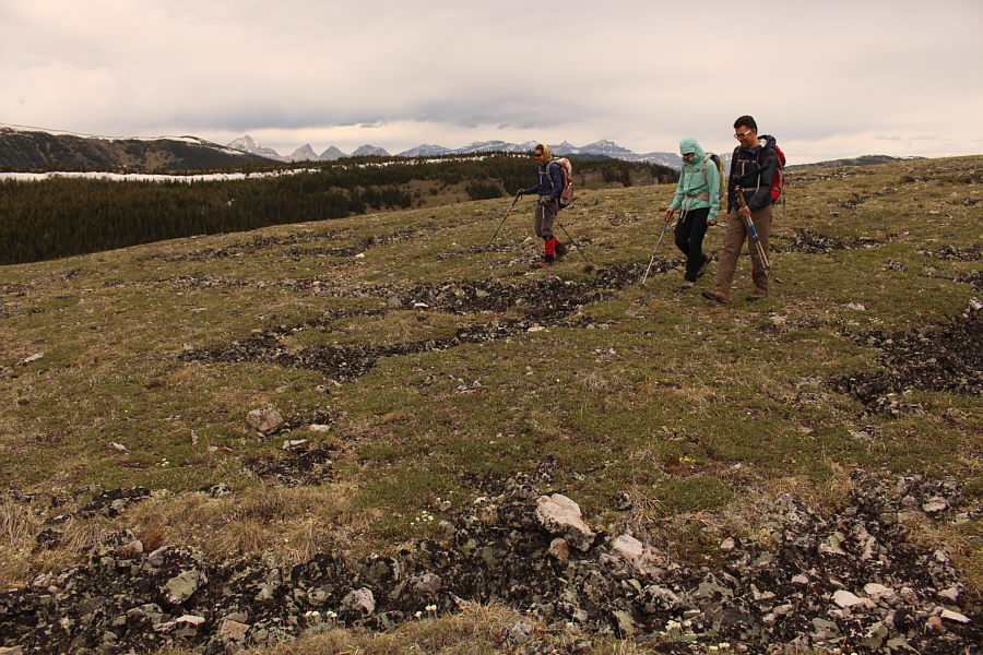 Marmots live under these rocks too!