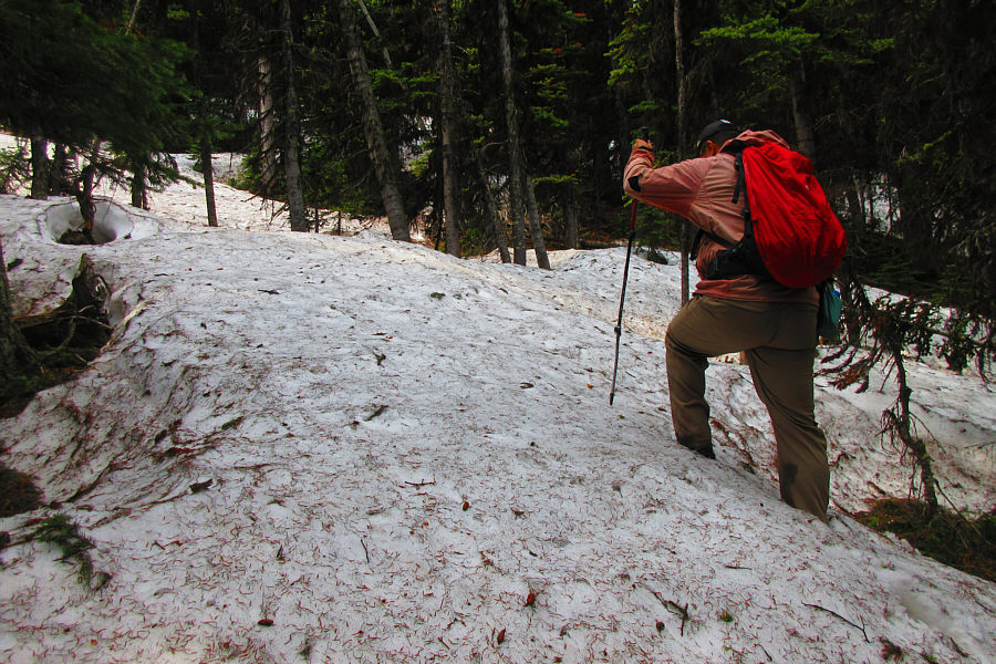 Yes, I occasionally do break trail...when I feel like it!