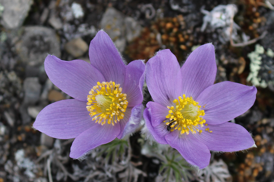 It's definitely a late spring.