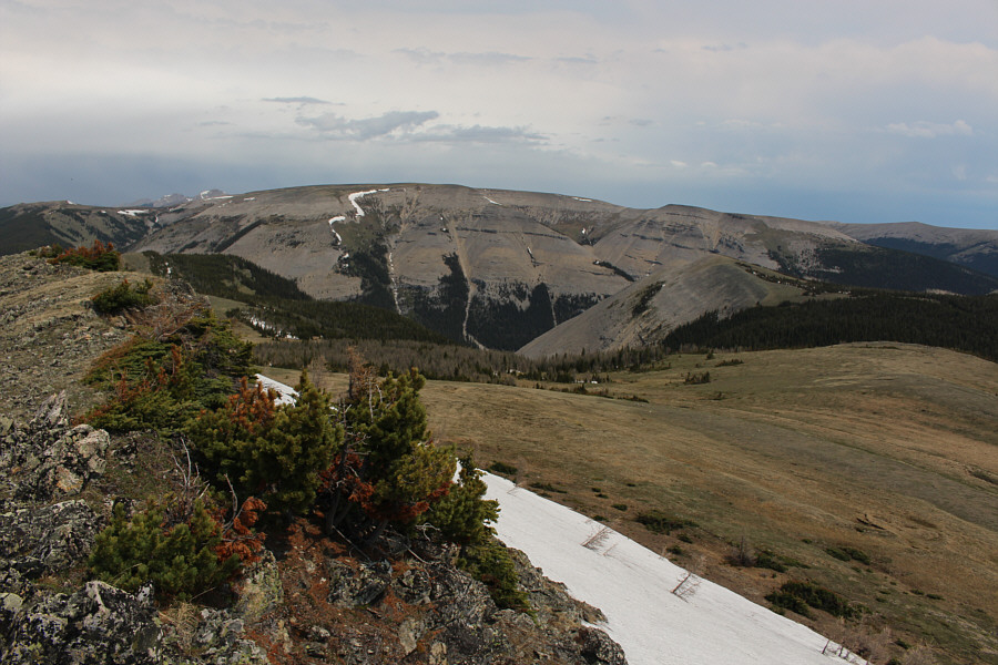 I biked up Plateau Mountain in 1993.