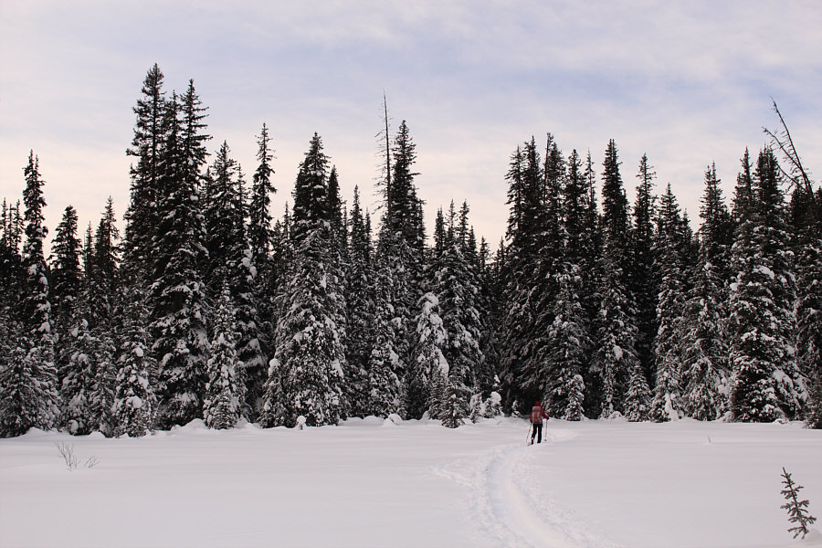 And usually quite cold too!