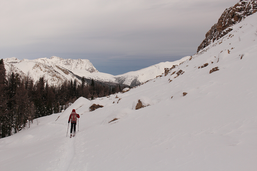 Finally starting to get some views!