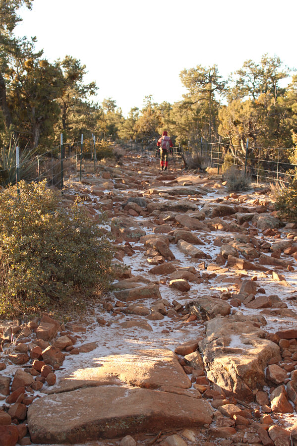 Watch your step! There are some cacti here too!