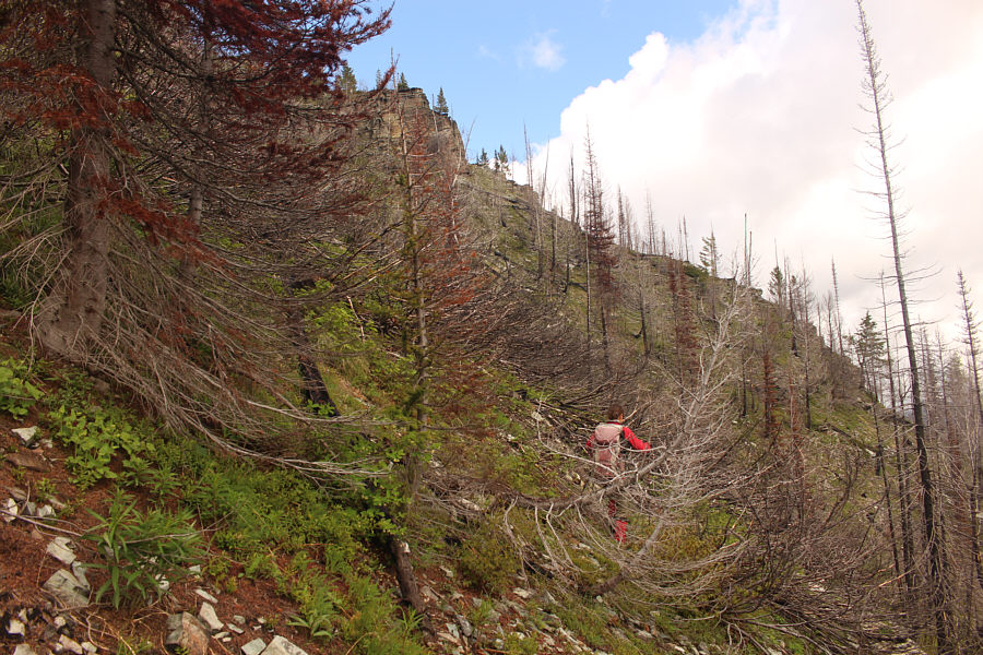 The nastiness just never ends!!