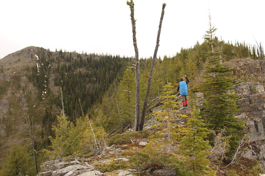 We've got this...unless it rains really hard!