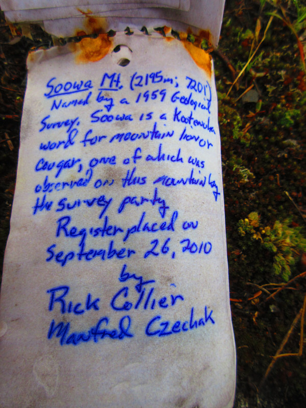 "Sowa" means "owl" in Polish!