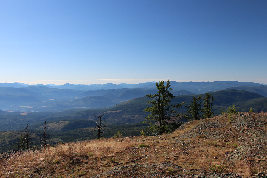 Probably as close as we'll get to the US for the rest of this year and maybe longer.