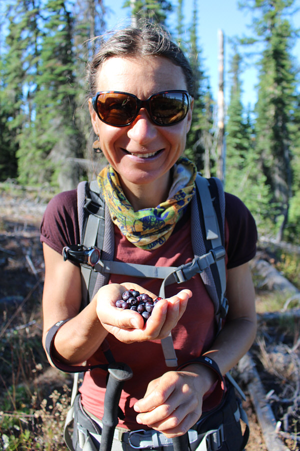 So...many...huckleberries!!!