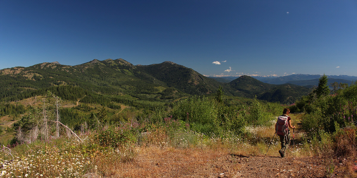 So what's for lunch?